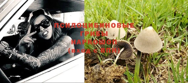 сатива Белоозёрский