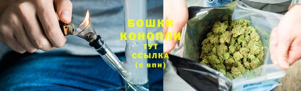 хмурый Белокуриха