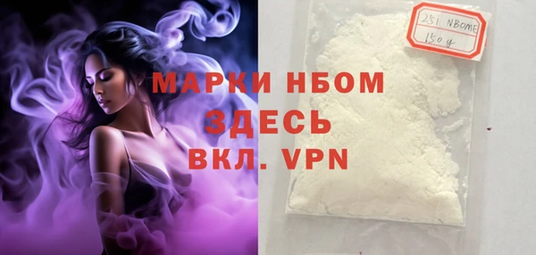 хмурый Белокуриха