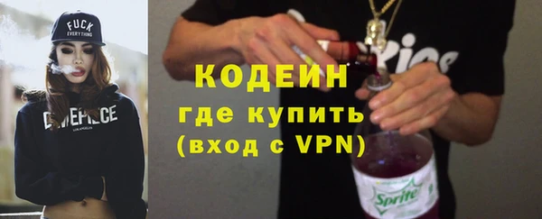 хмурый Белокуриха