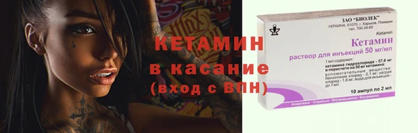 хмурый Белокуриха