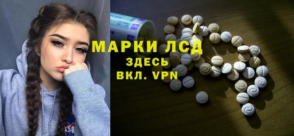 мяу мяу мука Баксан