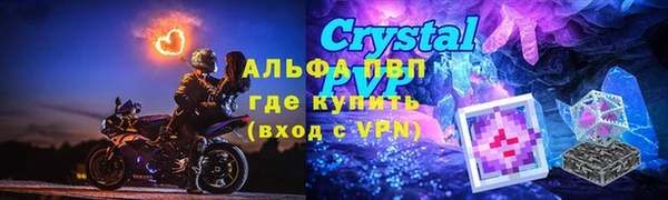 хмурый Белокуриха