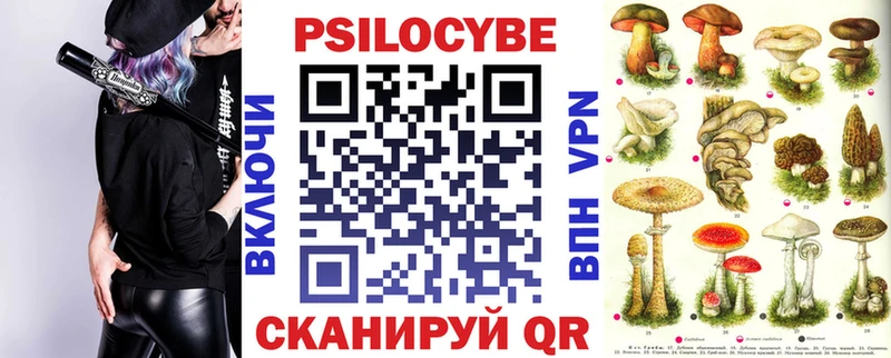 Галлюциногенные грибы Cubensis  закладка  Шумиха 